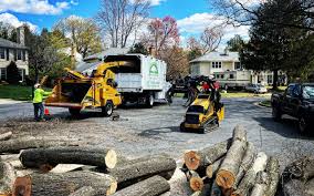 Best Tree Maintenance Programs  in Timberne, LA